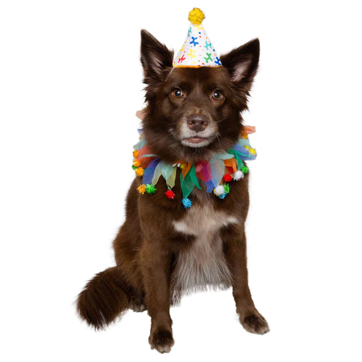 Pet Krewe Birthday Hat And Collar Set For Dog