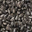 Leach Black Oil Sunflower Seeds, 50-lb Bag