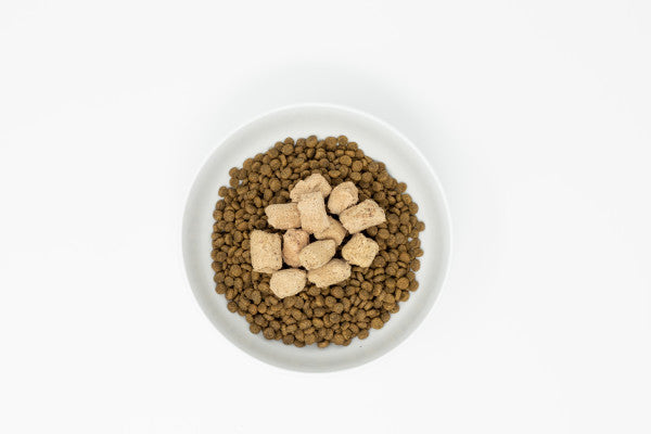 Stella & Chewy's Freeze-Dried Morsels for Cats - Sea-Licious Salmon and Cod Recipe, Freeze-Dried Raw Cat Food