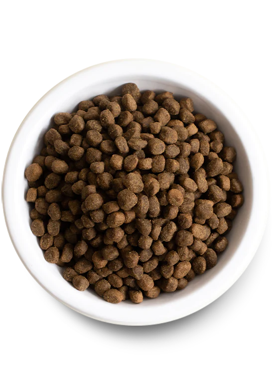Open Farm Ancient Grains Grass-Fed Beef , Dry Dog Food