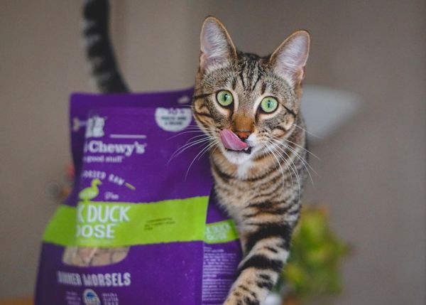 Stella Chewy s Freeze Dried Morsels for Cats Duck Duck Goose