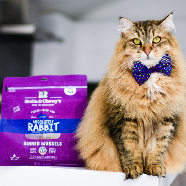 Stella & Chewy's Freeze-Dried Morsels for Cats - Absolutely Rabbit Recipe, Freeze-Dried Raw Cat Food