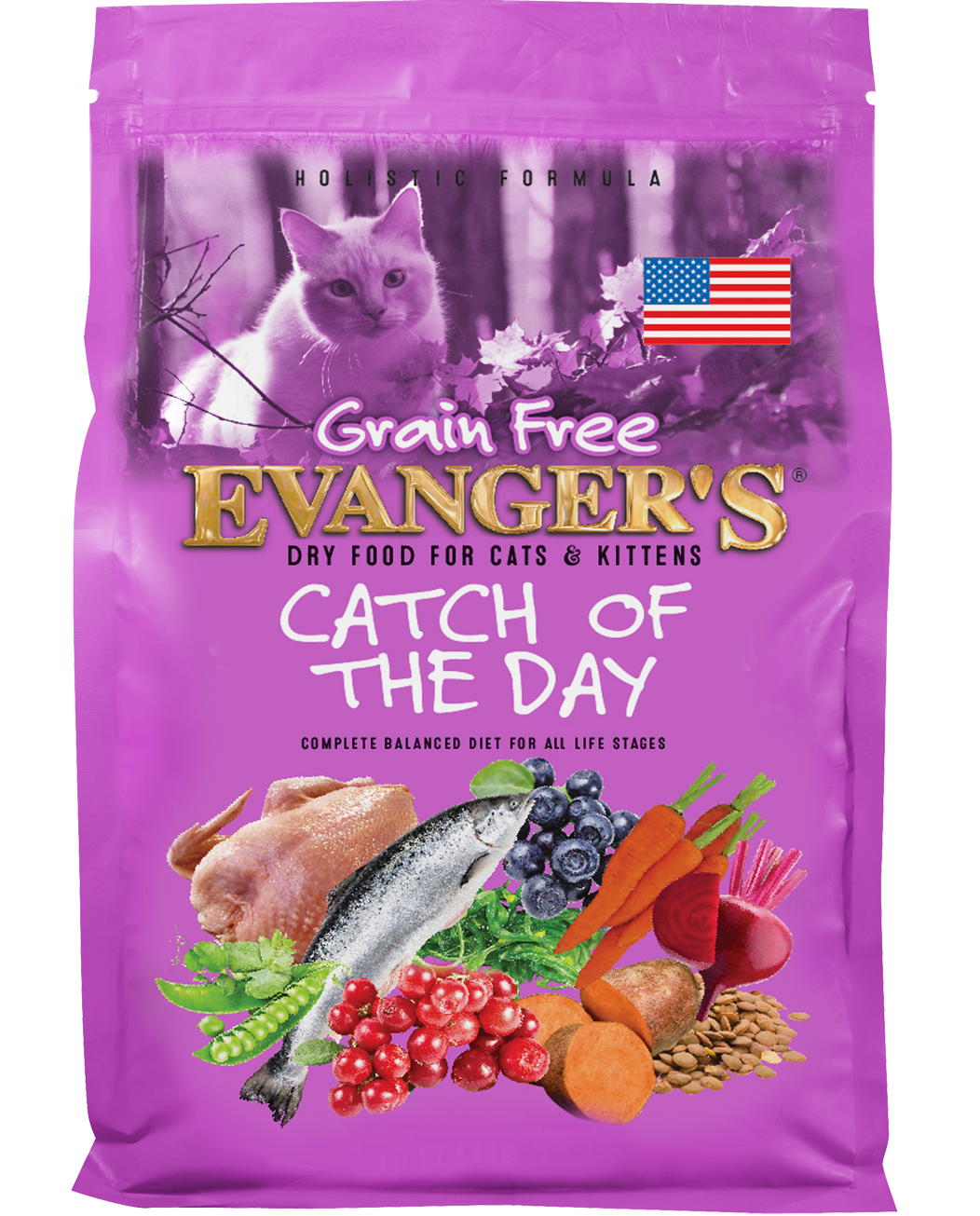 Evanger's Grain Free Catch Of The Day Dry Cat Food, 4.4-lb Bag