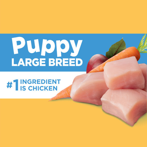 Large breed dry puppy food best sale