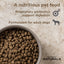 Diamond Naturals Beef Meal and Rice Adult Dry Dog Food, 40-lb Bag