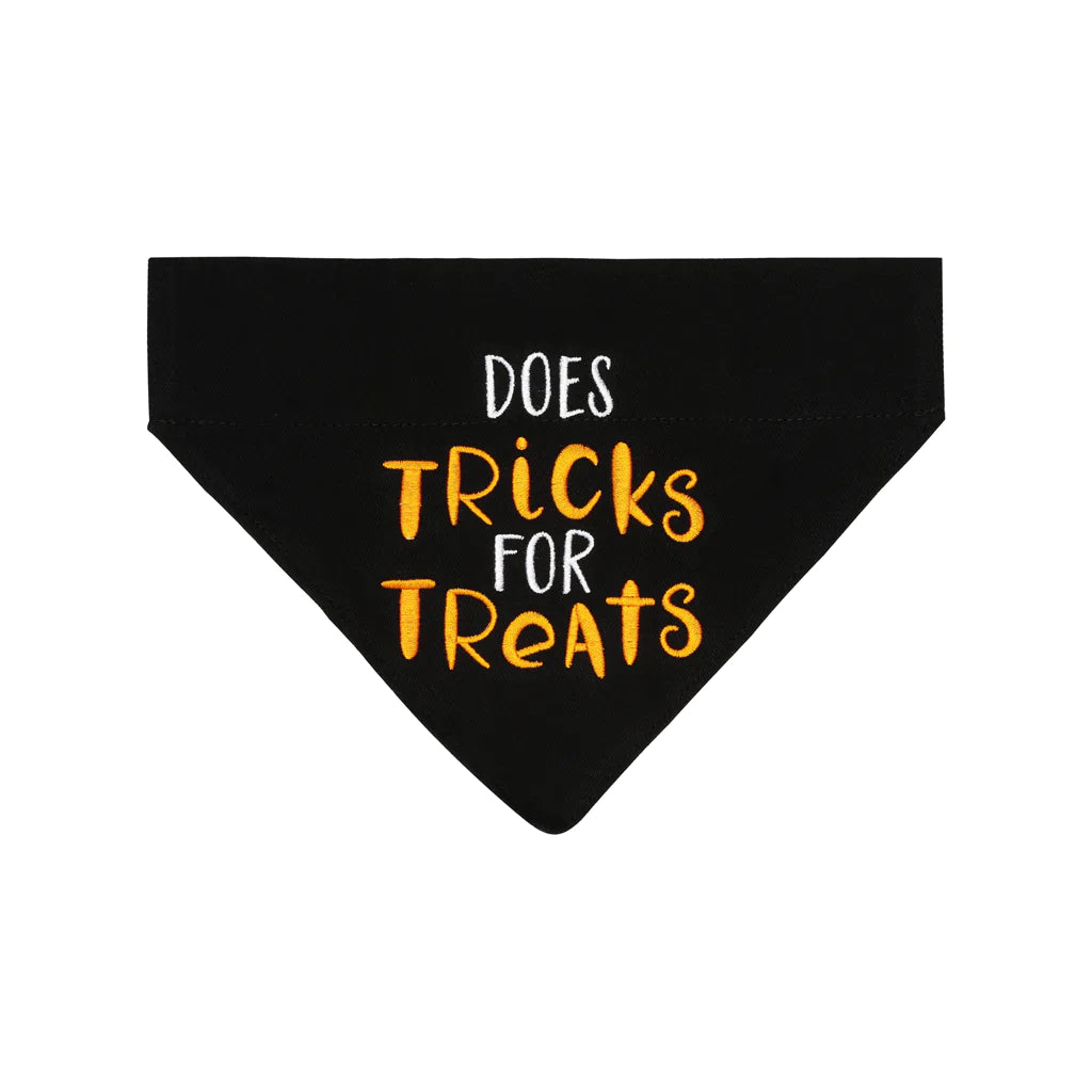 Pearhead "Does Tricks For Treats" Pet Bandana, Small/Medium