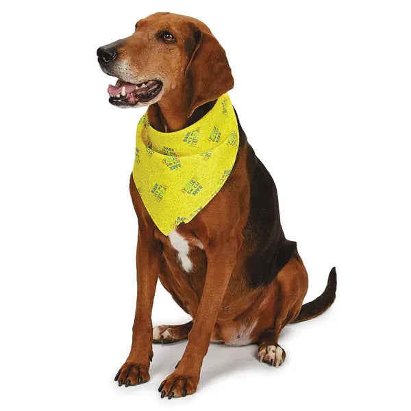 Aria Bark It's My Birthday Bandana For Dogs