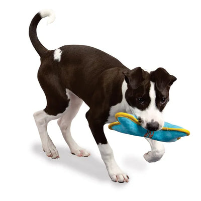 Zanies Birthday Pup Bone, Dog Toy