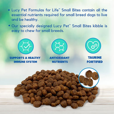 Lucy Pet Foods Salmon, Pumpkin and Quinoa Dog Small Bites, Dry Dog Food, 4.5-lb Bag