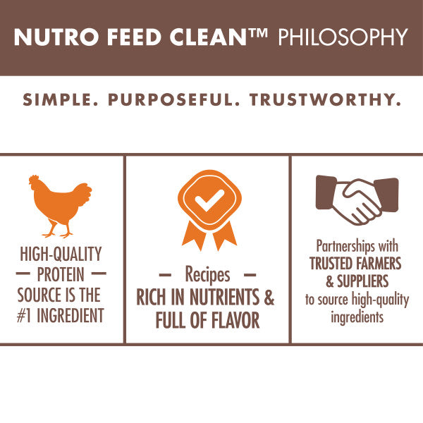 Nutro feed clearance clean wholesome essentials