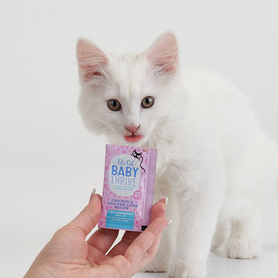 Tiki Cat Baby Thrive, Kitten Chicken And Chicken Liver Recipe Supplement, Wet Cat Food, 0.25-oz 20-Count