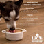 Lucy Pet Kettle Creations™ Duck Dog Recipe in Gravy, Wet Dog Food, 12.5-oz Case of 12