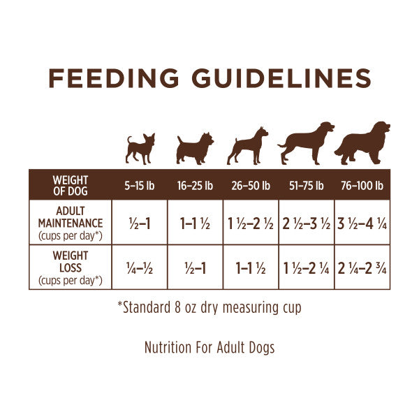 Instinct Limited Ingredient Diet Lamb, Dry Dog Food, Bag