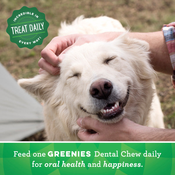 GREENIES Natural Dog Dental Care Chews Oral Health Dog Treats Blueberry Flavor, Large 12-oz Pack