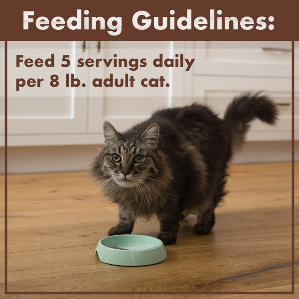 Nutro Grain Free Natural Wet Cat Food Cuts in Gravy Beef Recipe, 2.64-oz Case of 24