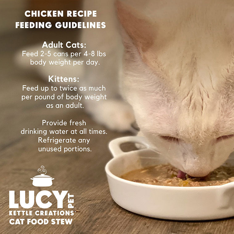 Lucy Pet Kettle Creations™ Chicken Cat Recipe in Gravy, Wet Cat Food, 2.47-oz Case of 12