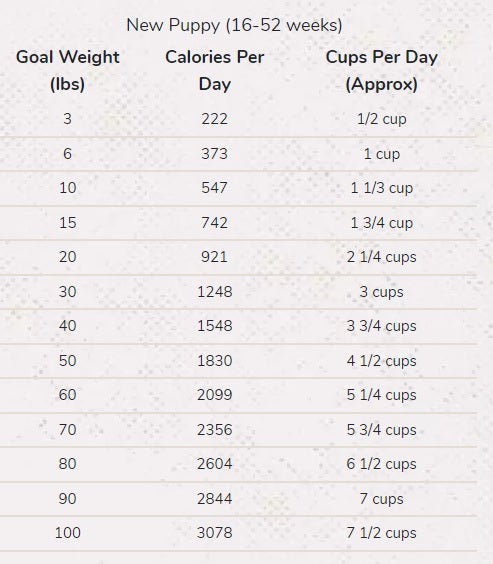 Merrick puppy 2025 food feeding chart