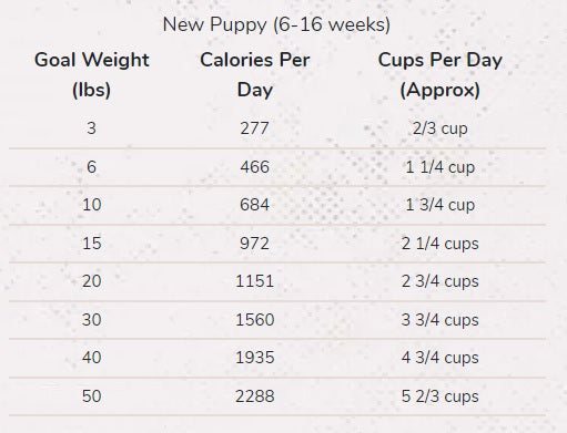 Merrick classic clearance puppy recipe