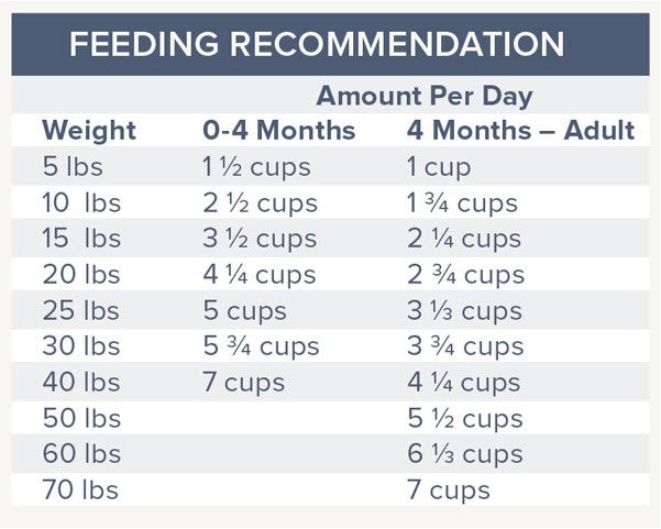 Dr marty dog food feeding clearance guide