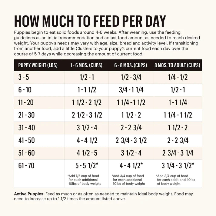 Nutro puppy food feeding guide sale