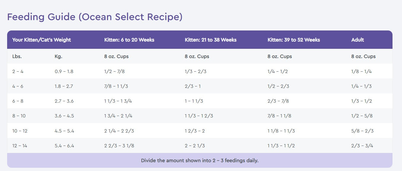 Nutrisource ocean select cat 2024 food