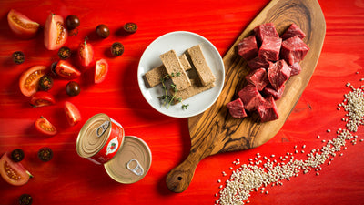 Fromm Four-Star Nutritionals Beef Pâté, Wet Cat Food, 5.5-oz Case of 12