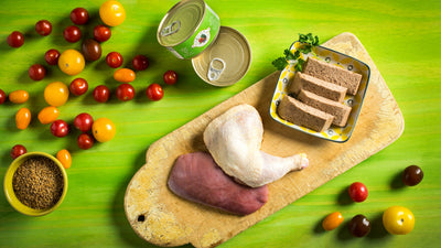Fromm Four-Star Nutritionals Chicken & Duck Pâté, Wet Cat Food