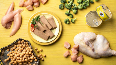 Fromm Four-Star Chicken Pate, Wet Cat Food