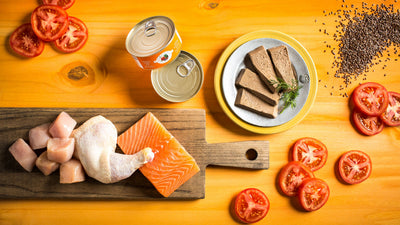 Fromm Four-Star Nutritionals Chicken & Salmon Pâté, Wet Cat Food