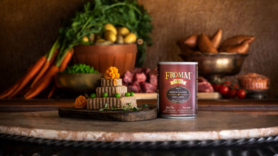 Fromm Beef & Sweet Potato Pâté, Wet Dog Food, 12.2-oz Case of 12