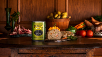 Fromm Lamb & Sweet Potato Pâté, Wet Dog Food, 12.2-oz Case of 12