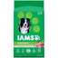 IAMS Adult Minichunks Small Kibble High Protein Dry Dog Food with Real Chicken