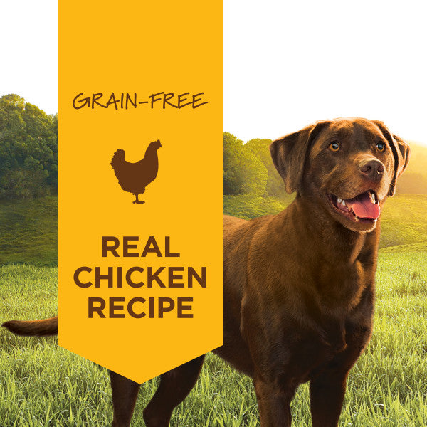 Instinct original grain free hotsell dog food