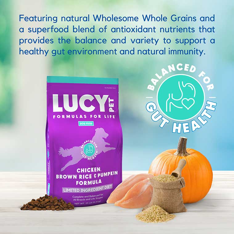 Lucy Pet Chicken, Brown Rice & Pumpkin, Dry Dog Food