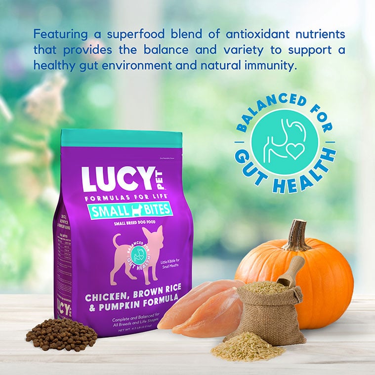 Lucy Pet Chicken, Brown Rice & Pumpkin Limited Ingredient Diet Small Bites, Dry Dog Food, 4.5-lb Bag
