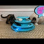 Doc And Phoebe Forever Fun Treat Track Cat Toy