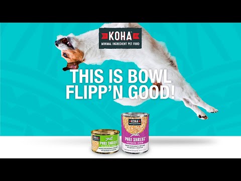 Koha Pure Shreds Shredded Chicken Breast Entree Wet Dog Food 12.5oz Anaheim Feed Pet Supply