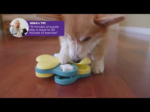 Pet Supplies : Outward Hound Nina Ottosson Puppy Tornado Interactive Treat Puzzle  Dog Toy 