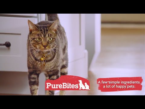 PureBites Shrimp Freeze-Dried Treats for Cats (0.38 oz)