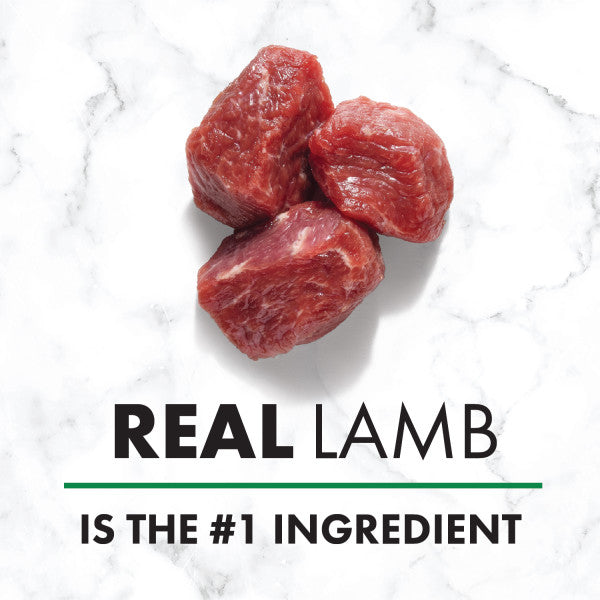 Nutro Premium Loaf Adult Natural Wet Dog Food Savory Lamb, Carrot & Pea Recipe, 12.5-oz Case of 12
