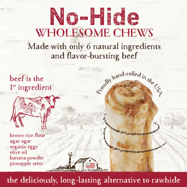 Earth Animal No-Hide Cage-Free Beef Natural Rawhide Alternative Dog Chew, 4-in