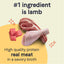 Canidae Pure Lamb, Turkey & Chicken Recipe 13-oz, Wet Dog Food, Case Of 12