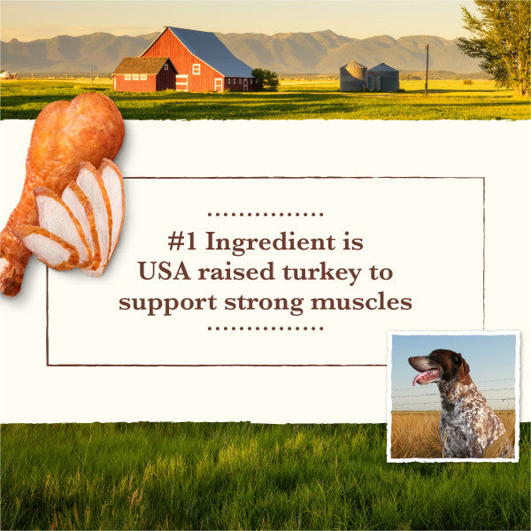 Whole Earth Farms Grain Free Hearty Turkey Stew Wet Dog Food, 12.7-oz Case of 12