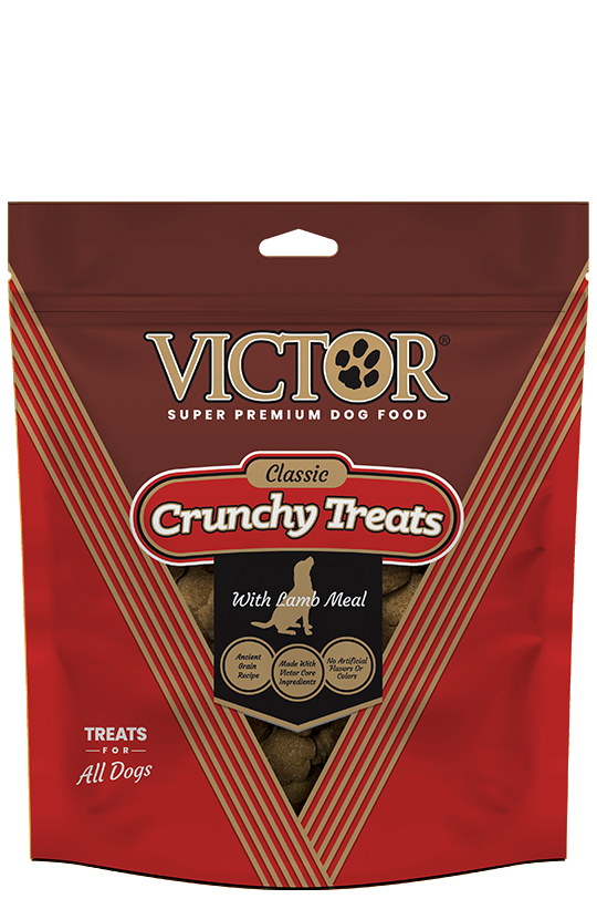 Victor Classic Crunchy Lamb Meal 14-oz, Dog Treat