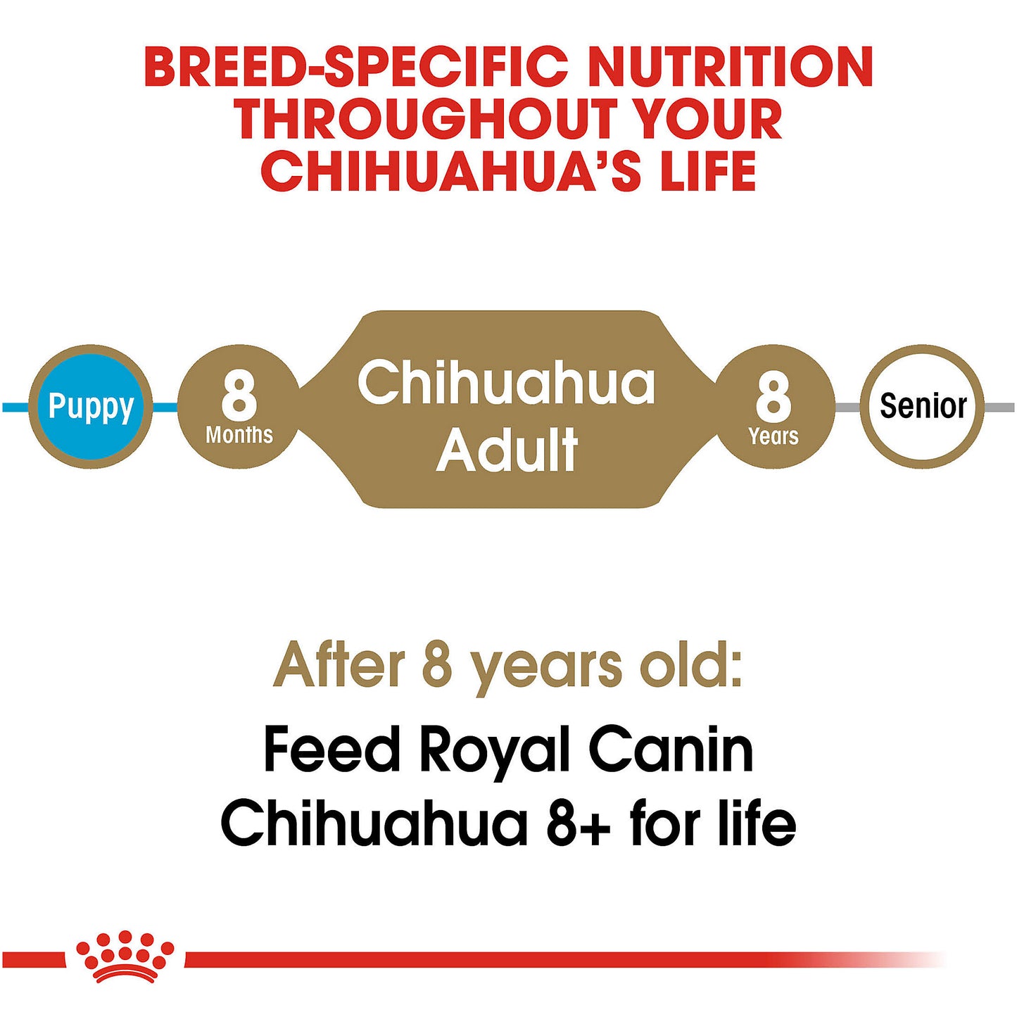 Royal Canin Chihuahua Adult Dry Dog Food