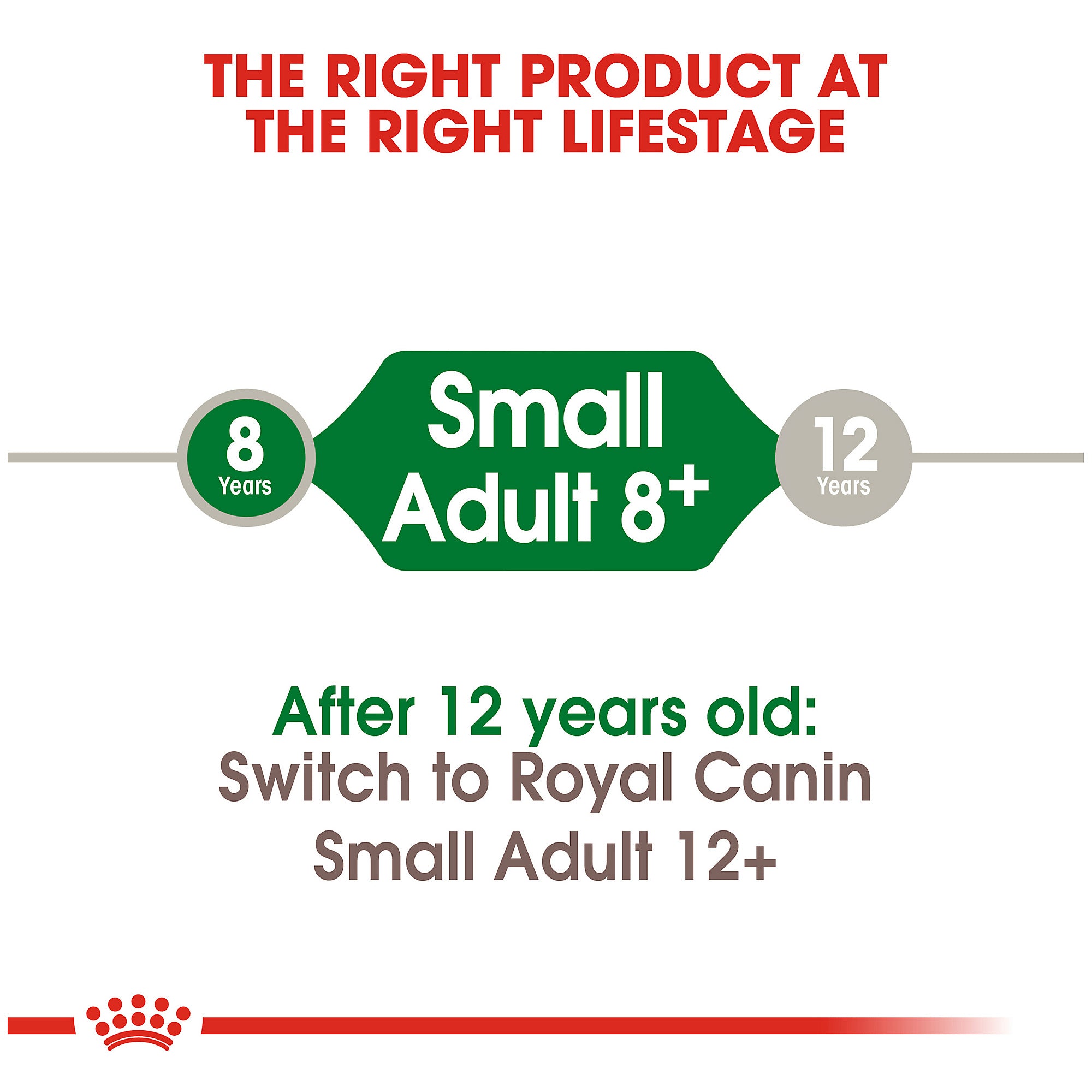 Royal Canin Small Adult 8 Dry Dog Food 13 lb Bag Anaheim Feed Pet Supply