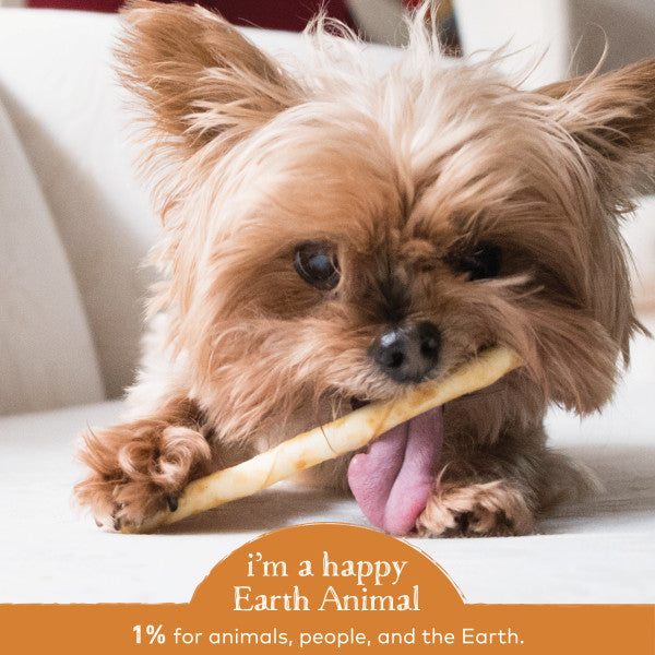 Earth Animal No-Hide Cage-Free Chicken Natural Rawhide Alternative Dog Chews, 1.6-oz (10 pack)