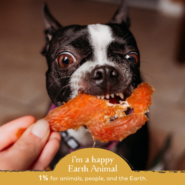 Earth Animal Tenders Perfectly Plain Herbed Roasted Cage-Free Chicken Natural Jerky Dog Treats, 4-oz Bag
