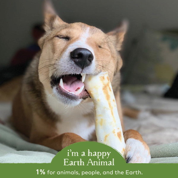Earth Animal No-Hide Cage-Free Pork Natural Rawhide Alternative Dog Chews, 1.6-oz (10 pack)
