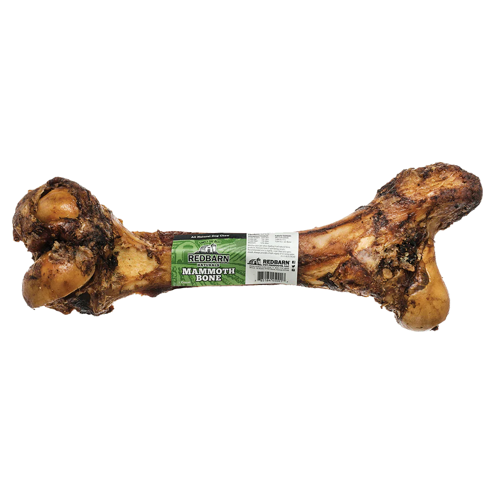 Redbarn Mammoth Bone Dog Chew, Single